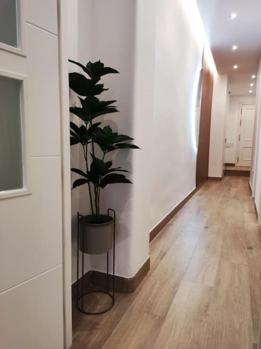 Apartamento Sierra-Sol Ronda Exterior foto